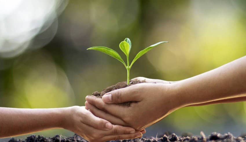 Des supports &eacute;cologiques pour des boutiques bio !