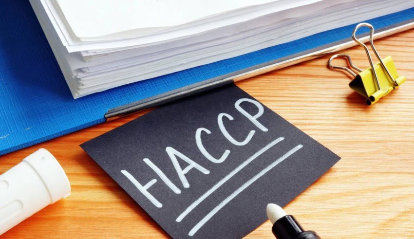 Comment passer la formation HACCP ?