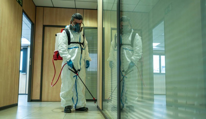 Les nuisibles en entreprise : quel impact ?