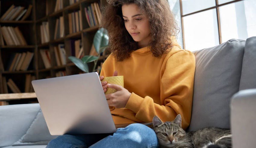 Cr&eacute;ation de site internet : les r&eacute;ponses &agrave; vos questions