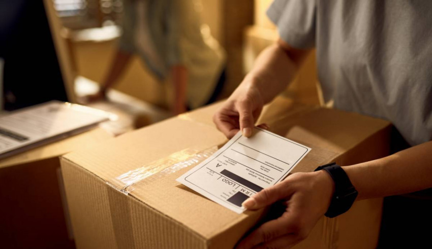 Transport et logistique : quelle formation choisir ?