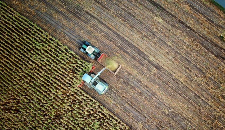 Innovations agroalimentaires 2023 : 5 tendances cl&eacute;s pour les acteurs du secteur