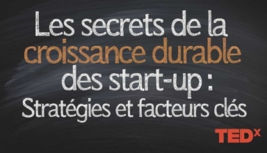 Les secrets de la croissance durable des start-up : stratégies et facteurs clés