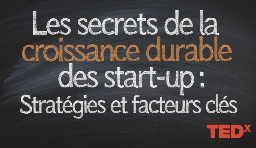 Les secrets de la croissance durable des start-up : strat&eacute;gies et facteurs cl&eacute;s
