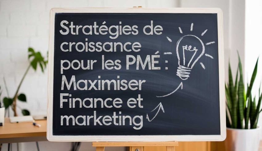 Strat&eacute;gies de croissance pour les PME : maximiser finance et marketing
