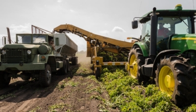 agriaffaires