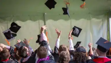 master en management