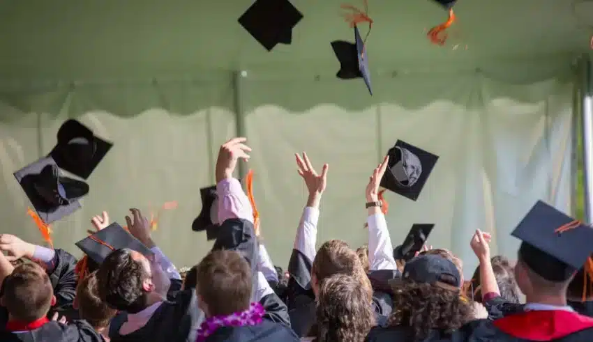 Master en management : l’essentiel de ce qu’il faut savoir !