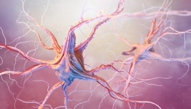 synapse medicine