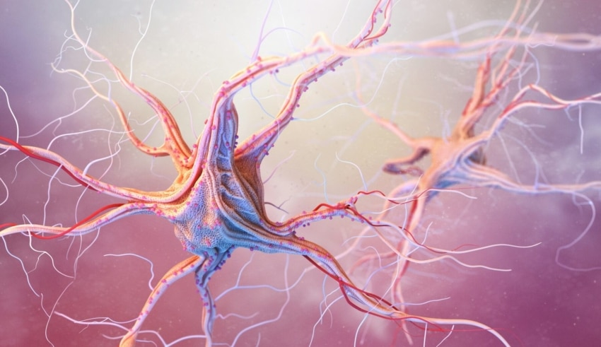 D&eacute;couvrez l’innovation d’intelligence artificielle de Synapse Medicine pour la prescription m&eacute;dicamenteuse