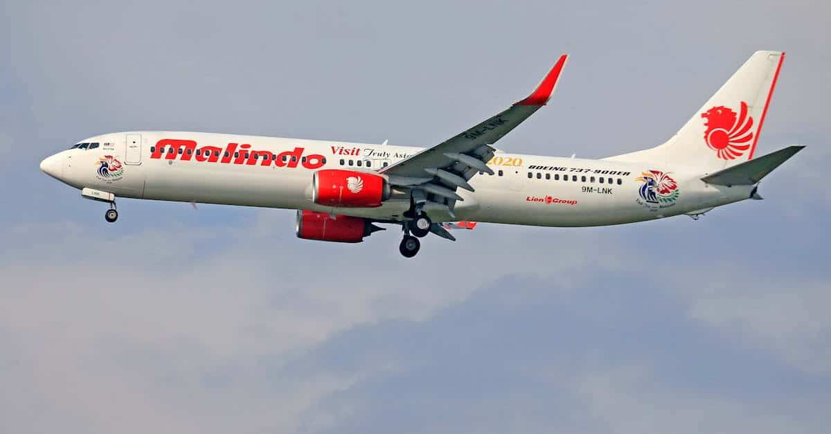 Le probl&egrave;me technique qui menace le gouvernail des Boeing 737