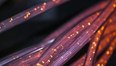 fibre orange