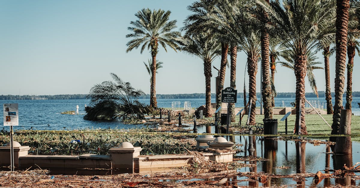 L’ouragan Helene : la Floride se pr&eacute;pare face &agrave; des inondations catastrophiques