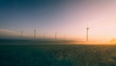 découvrez comment la transition écologique transforme notre société, favorisant des pratiques durables et respectueuses de l'environnement. explorez des solutions innovantes pour un avenir plus vert.