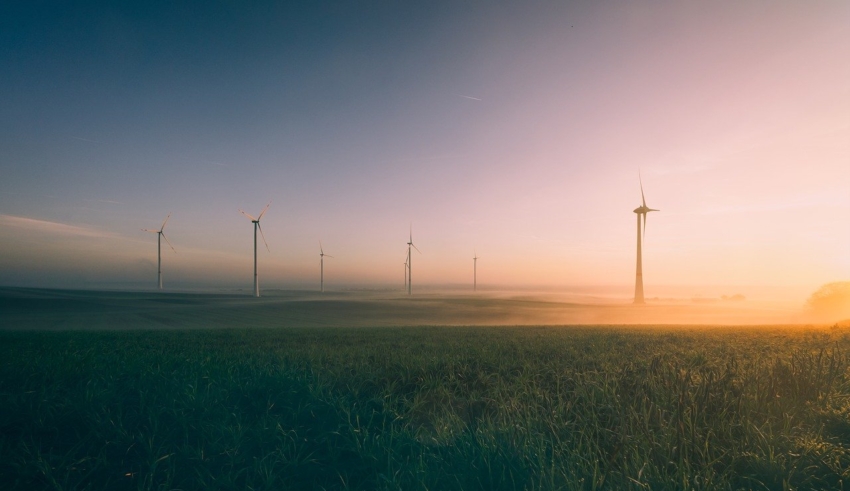 La transition &eacute;cologique dans les entreprises : enjeux et strat&eacute;gies