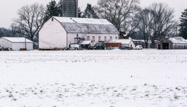 Agriculture : quelles sont les meilleures solutions de stockage aujourd'hui ?