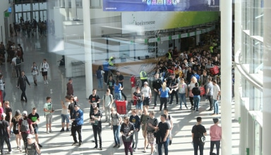 people walking on pathway