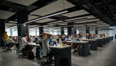people doing office works