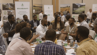découvrez comment le groupe avril, sous la direction du président de la fnsea, profite pleinement de la niche fiscale b100 pour les biocarburants, réalisant ainsi d’importants bénéfices et renforçant sa position sur le marché énergétique français.