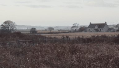 analyse du déclin progressif des prairies permanentes en bretagne et des enjeux environnementaux associés pour la région.