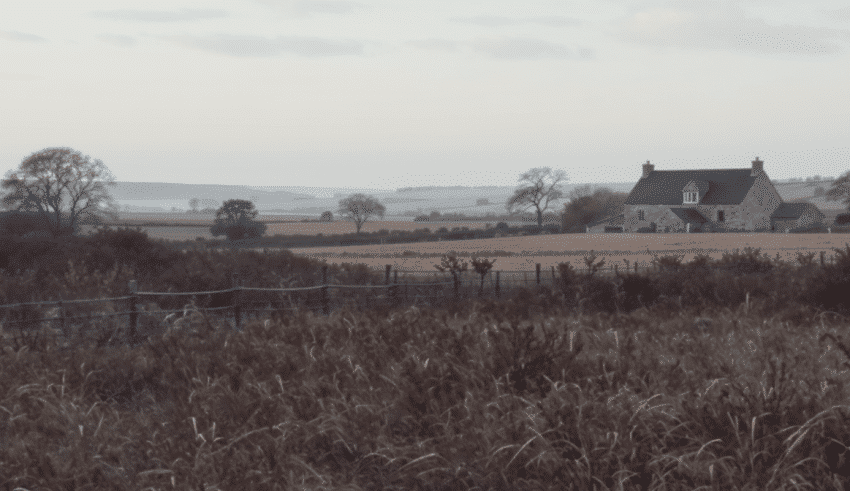 En Bretagne, le d&eacute;clin progressif des prairies permanentes et ses enjeux environnementaux