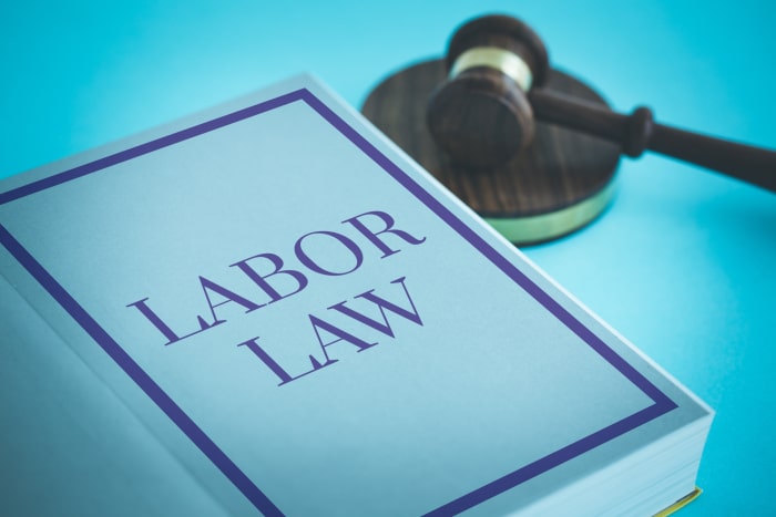 Pourquoi la veille en droit social est essentielle pour les professionnels&thinsp;?