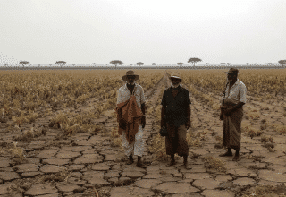 El Ni&ntilde;o menace l&rsquo;ins&eacute;curit&eacute; alimentaire : une double peine climatique aux impacts de plus en plus dramatiques