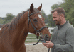 FFE SIF : comment enregistrer et consulter les performances d&rsquo;un cheval